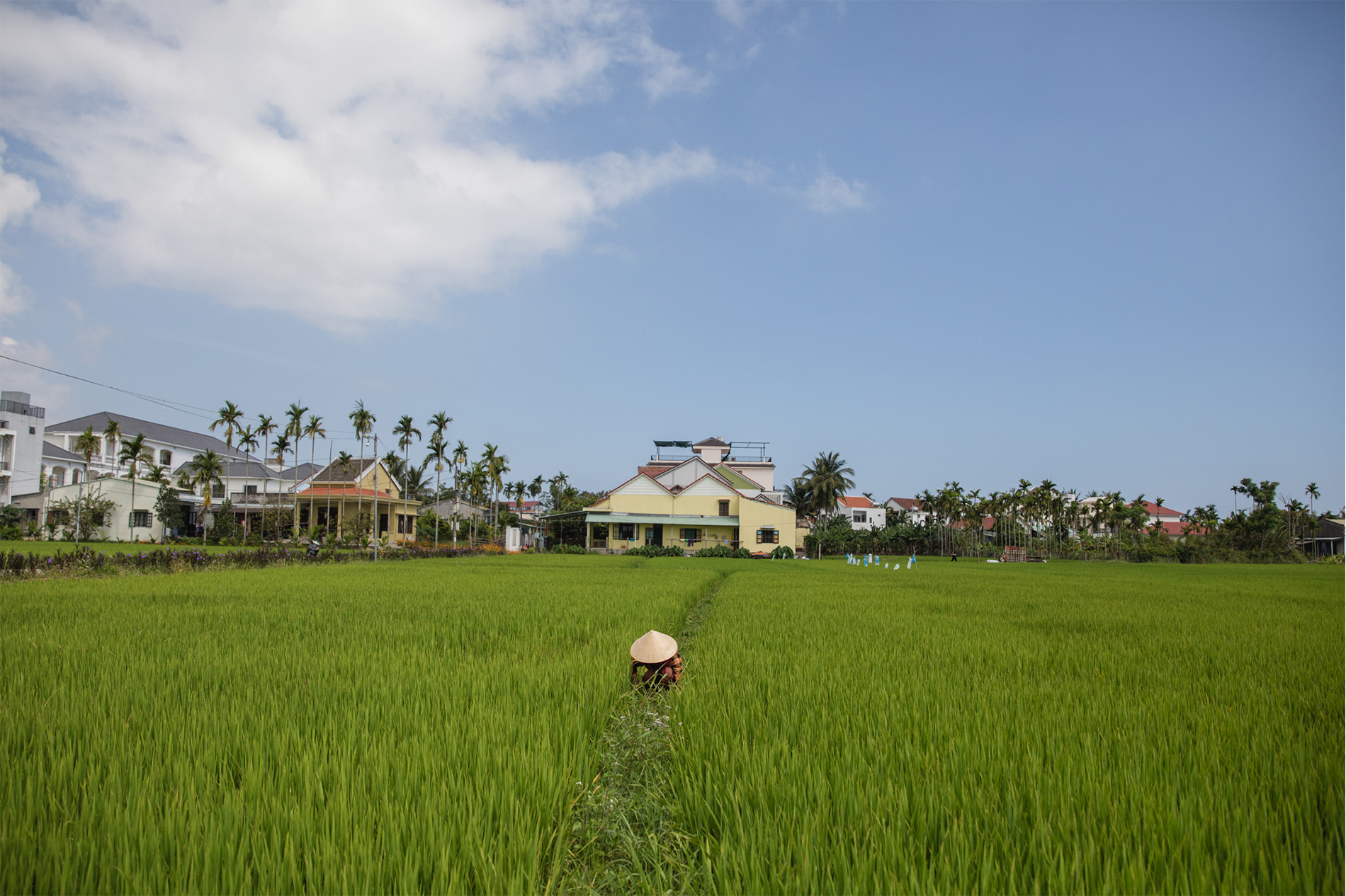 Cam Thanh - Hoi An - Quang Nam