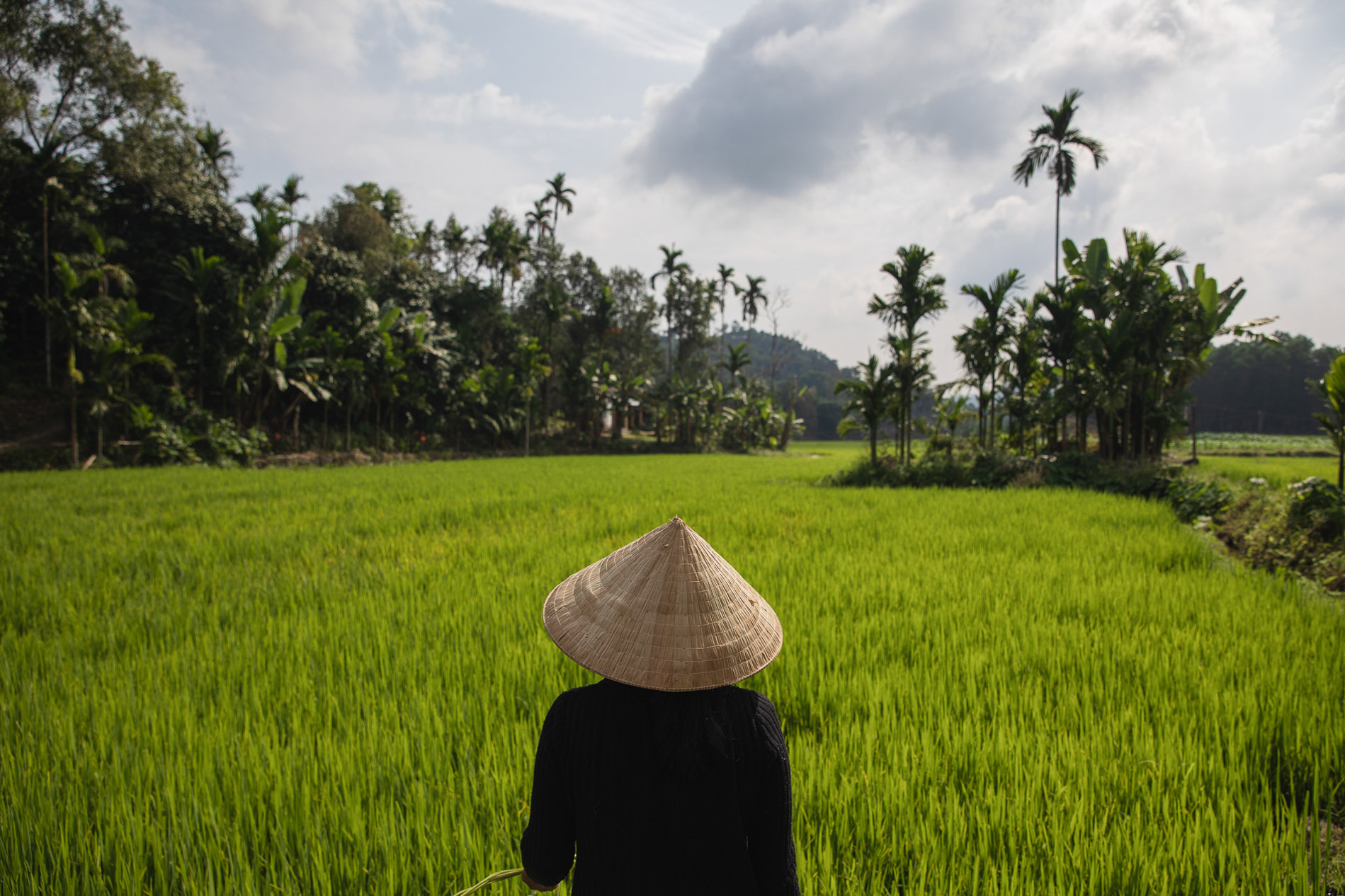 Visit Quảng Nam - Trang thông tin du lịch chính thức của Quảng Nam