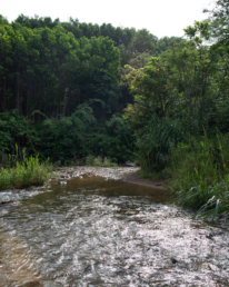 Trekking in Dong Giang - Best activities outside of Hoi An