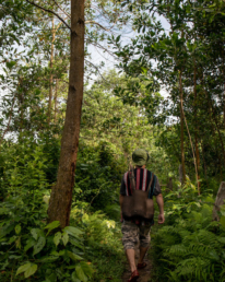 Trekking in Dong Giang - Best activities outside of Hoi An