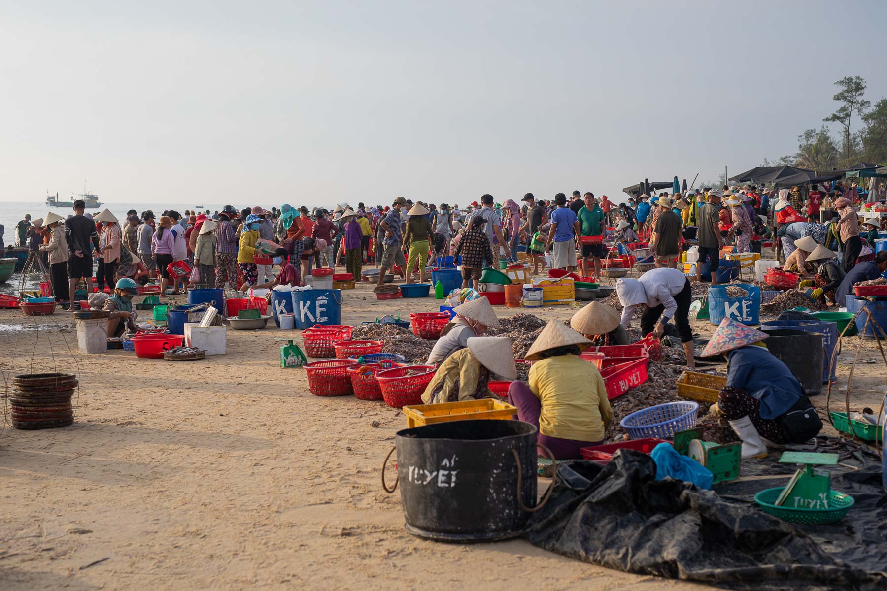 Tam Tien Fish Market - Nui Thanh District - Quang Nam Province